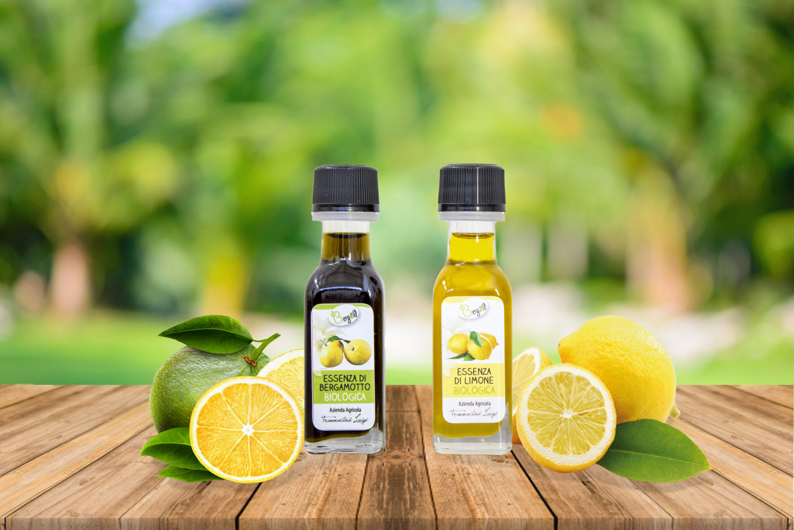 Macchinario / lavorazione agrumi (Foto 10)