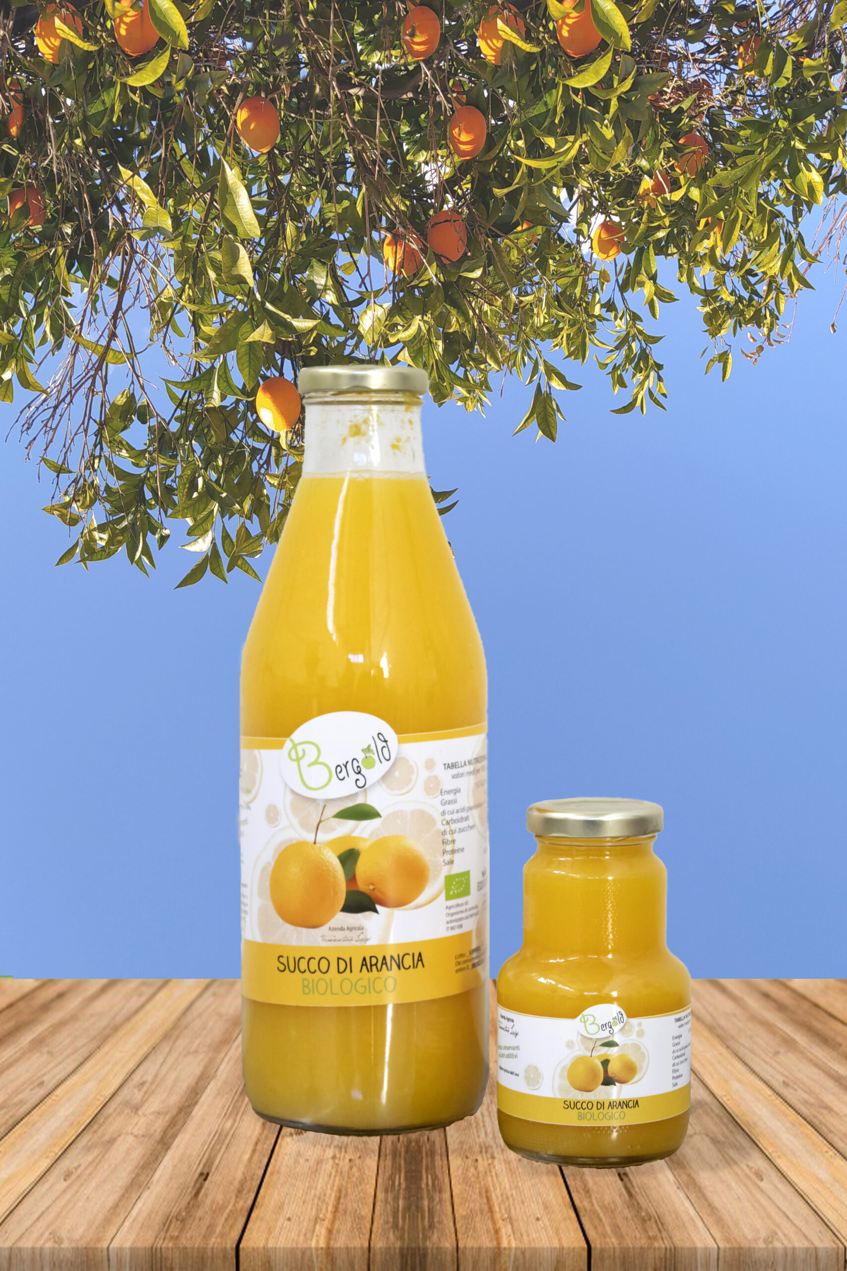 Succo di Arancia biologica (Foto 14)