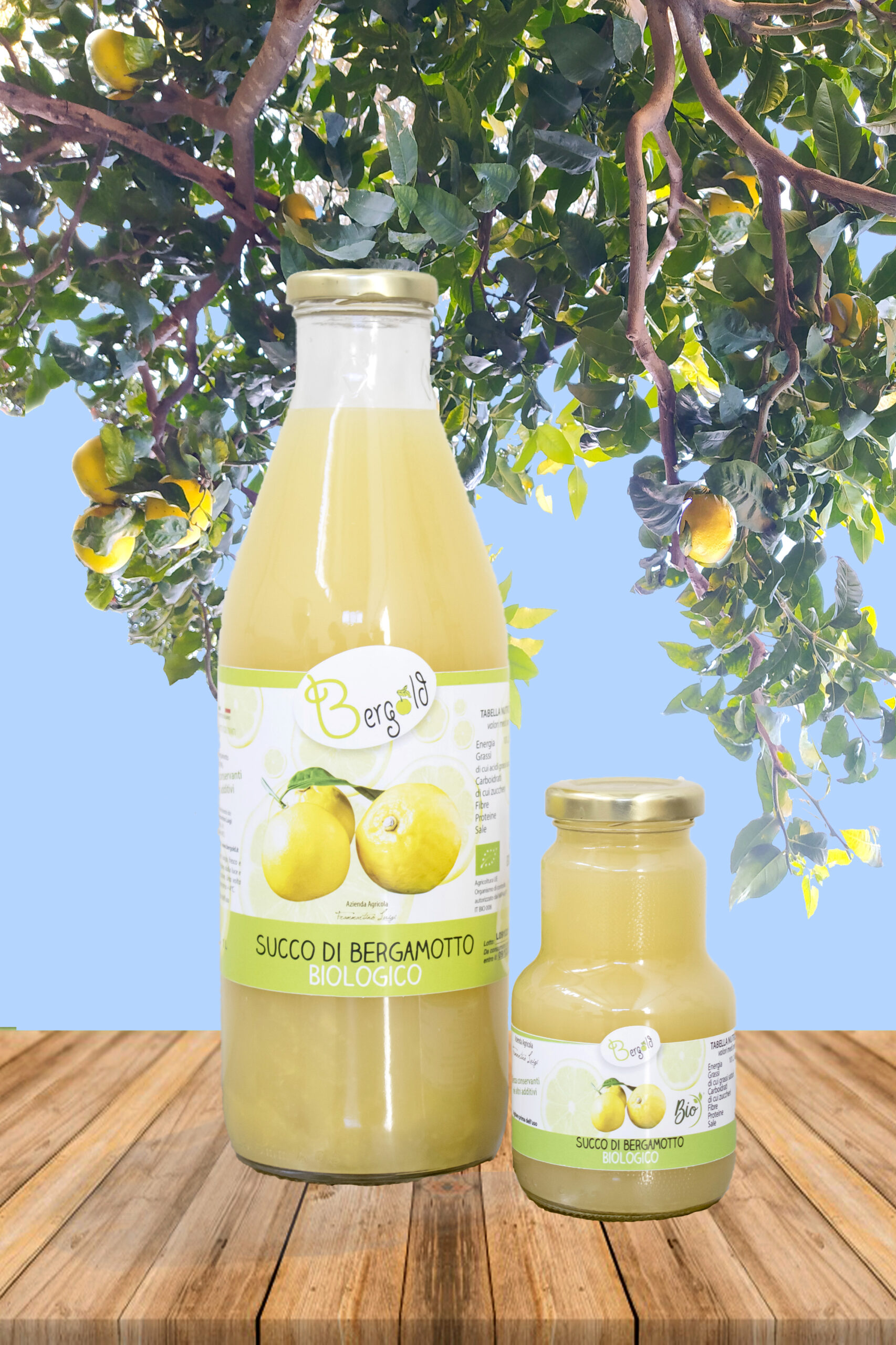 Succo di Bergamotto biologico (Foto 11)