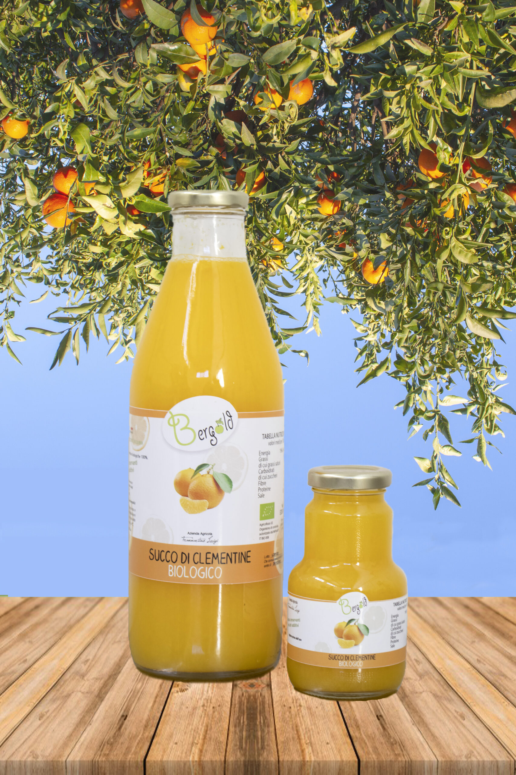 Succo di Clementine biologico (Foto 12)