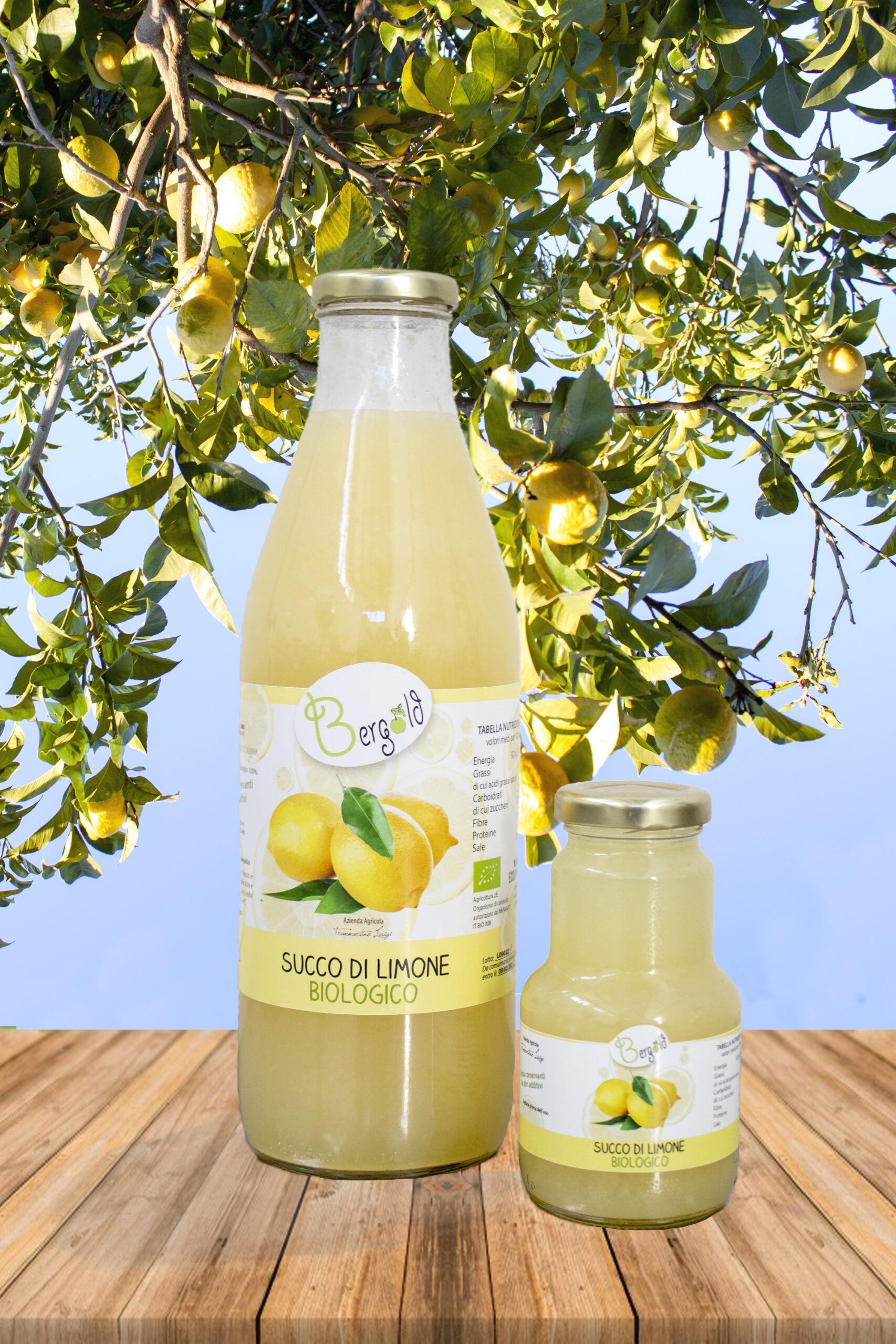 Succo di Limone biologico (Foto 13)