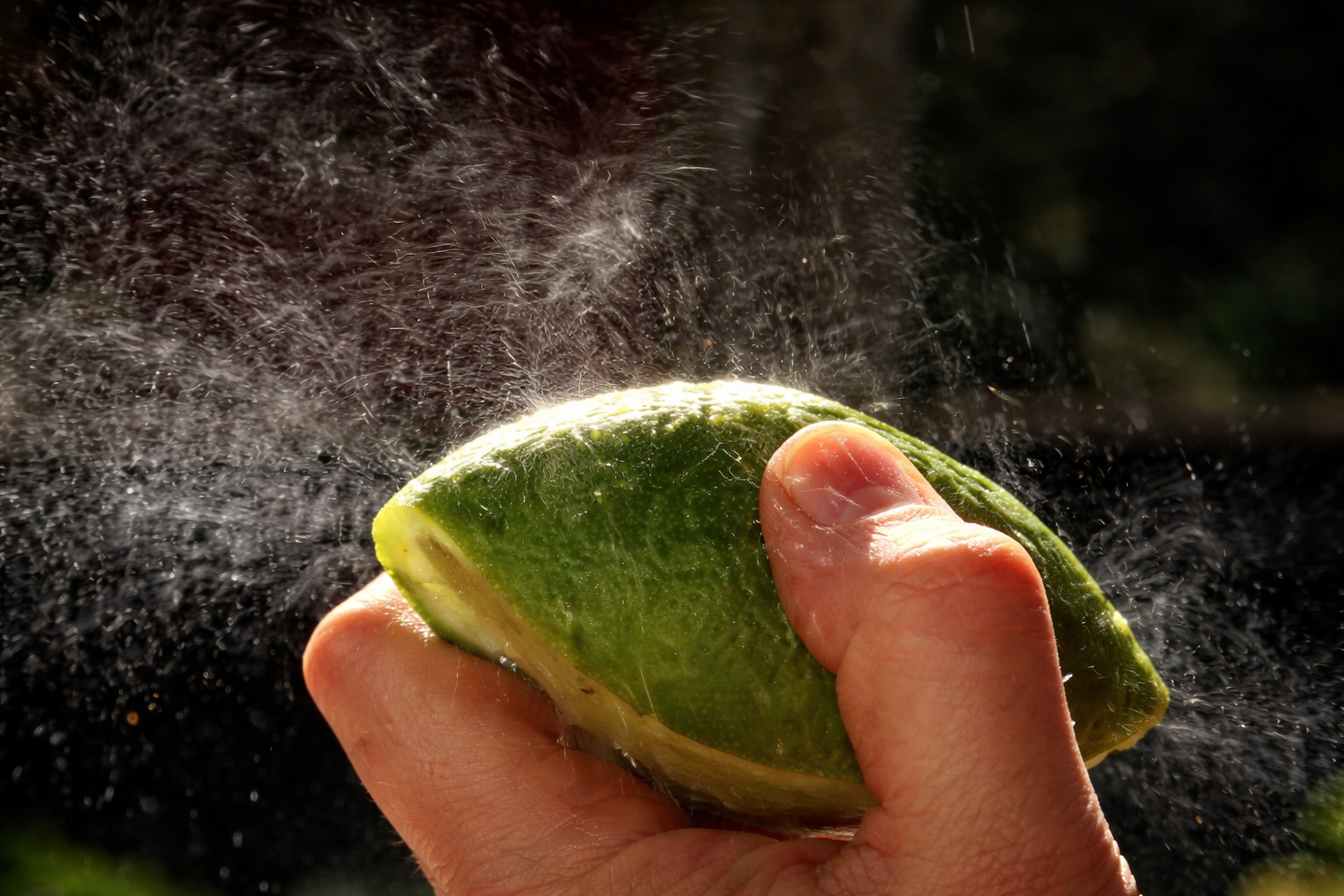 Olio essenziale di bergamotto